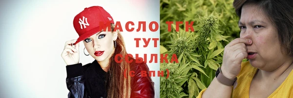гашик Коряжма