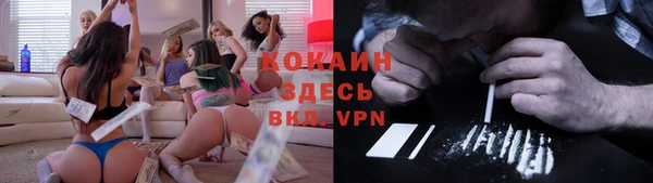 шишки Аша