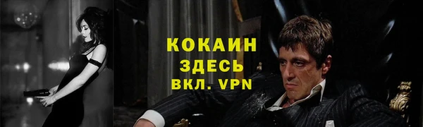 гашик Коряжма