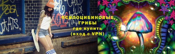 гашик Коряжма