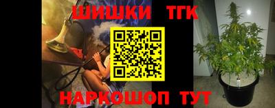 стафф Гусев