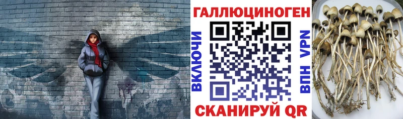 Псилоцибиновые грибы ЛСД  Назарово 