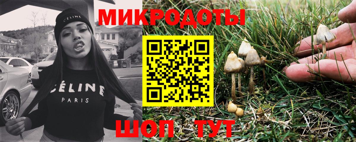 Псилоцибиновые грибы Magic Shrooms  Галлюциногенные грибы Magic Shrooms  Назарово  Вход с VPN 