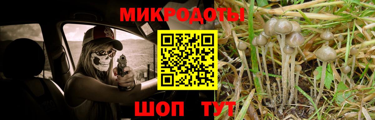Галлюциногенные грибы Psilocybine cubensis Назарово
